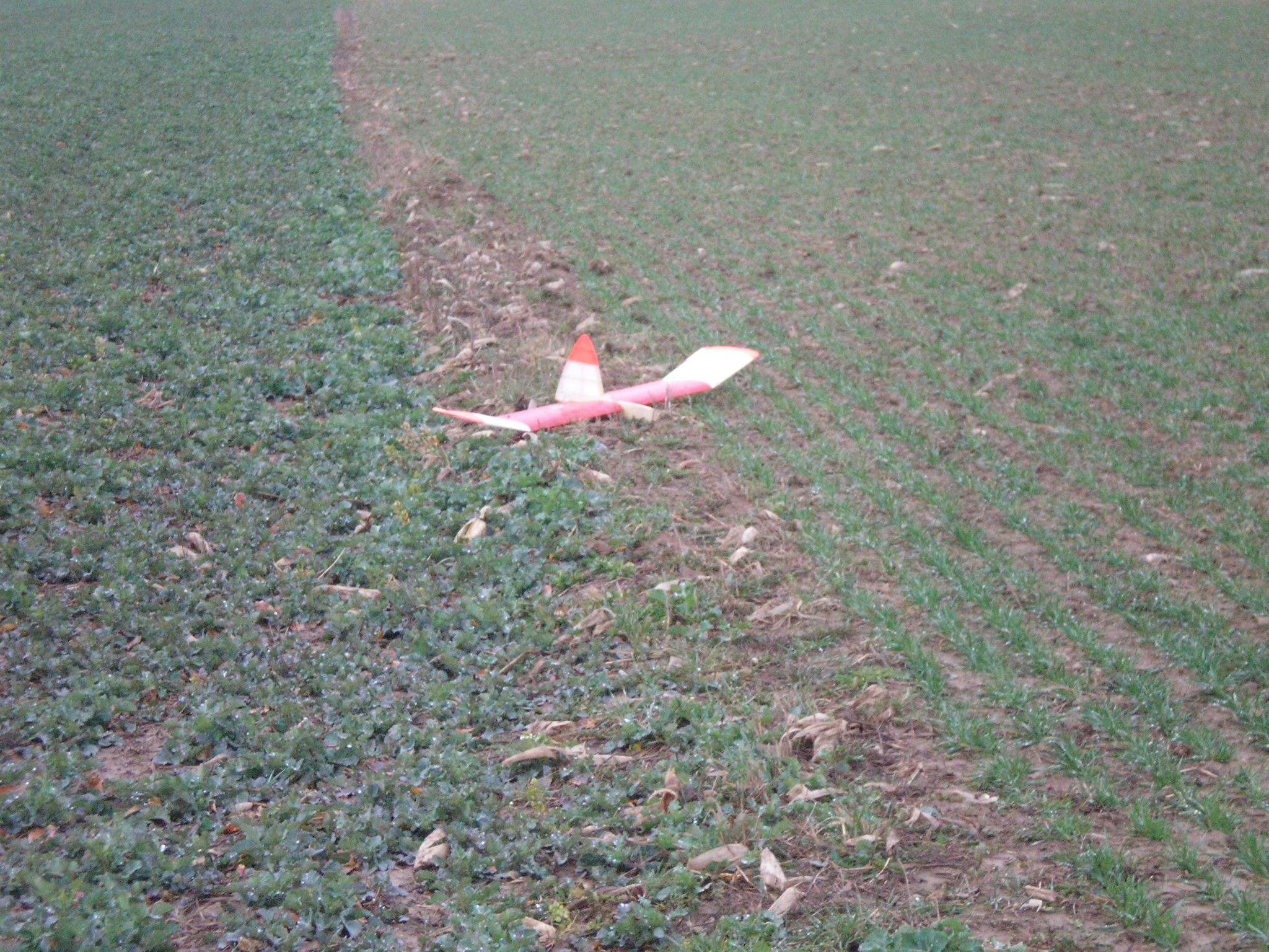 P3100335.JPG