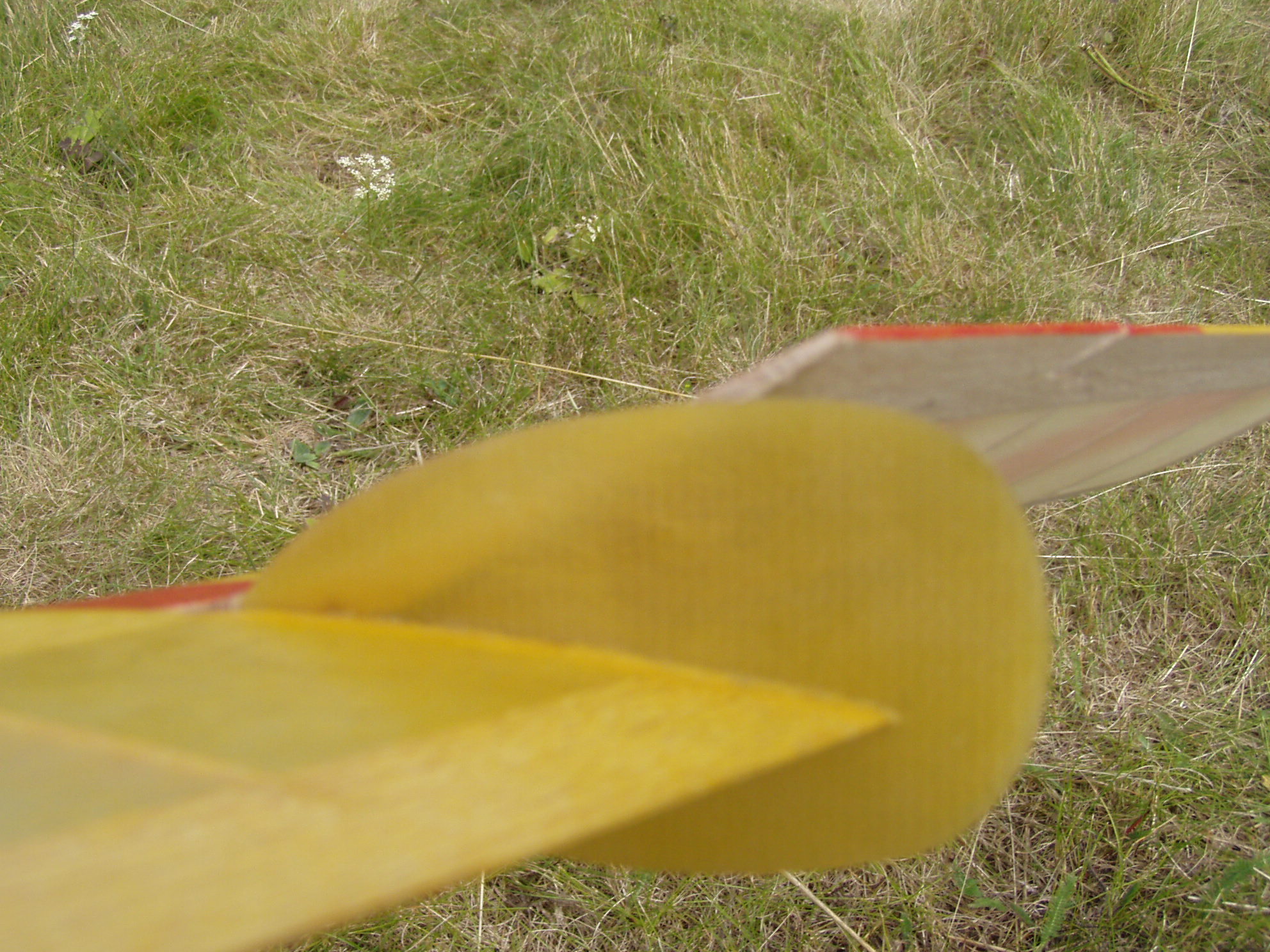 P1010009.JPG