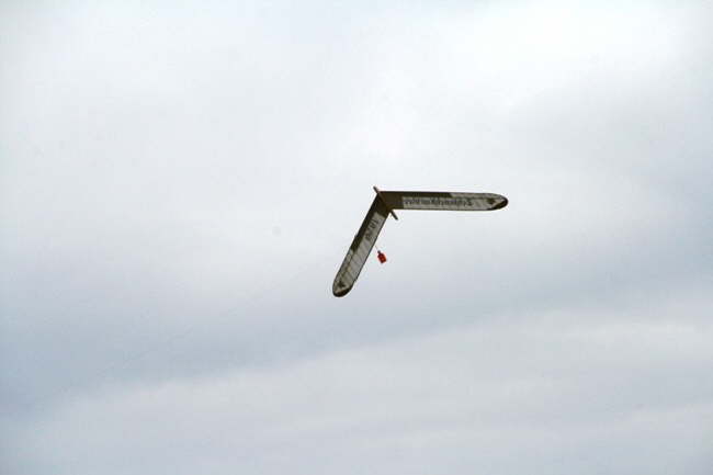 db_IMG_62541.jpg